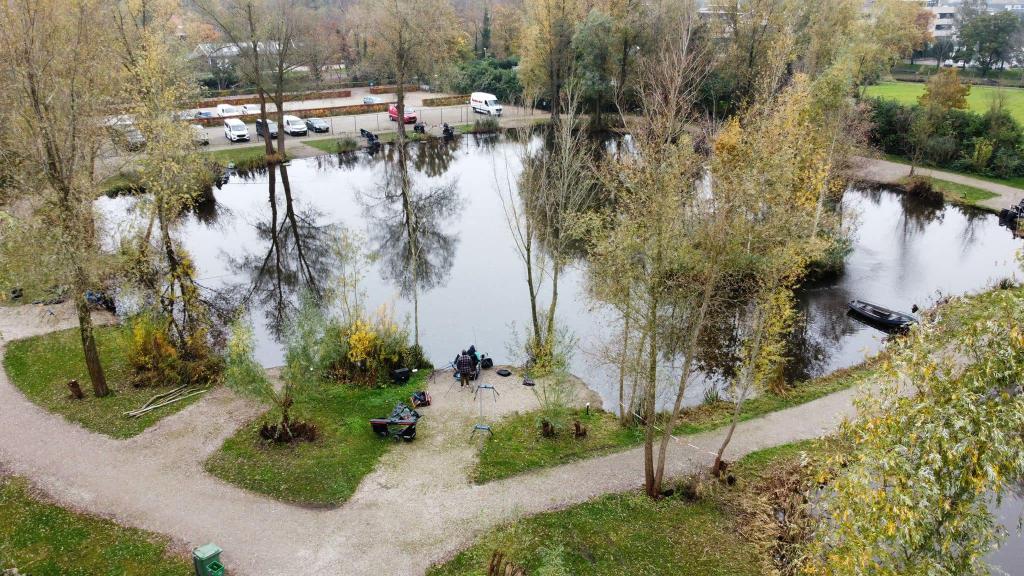 Visvijver de Wilgenplas