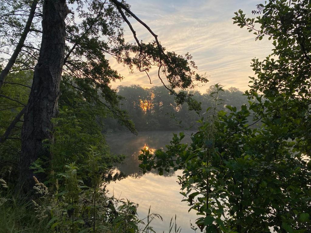 Karpervissen de Leemputten