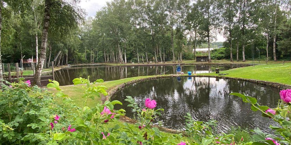 Forellenvijver Flamingo Opoeteren