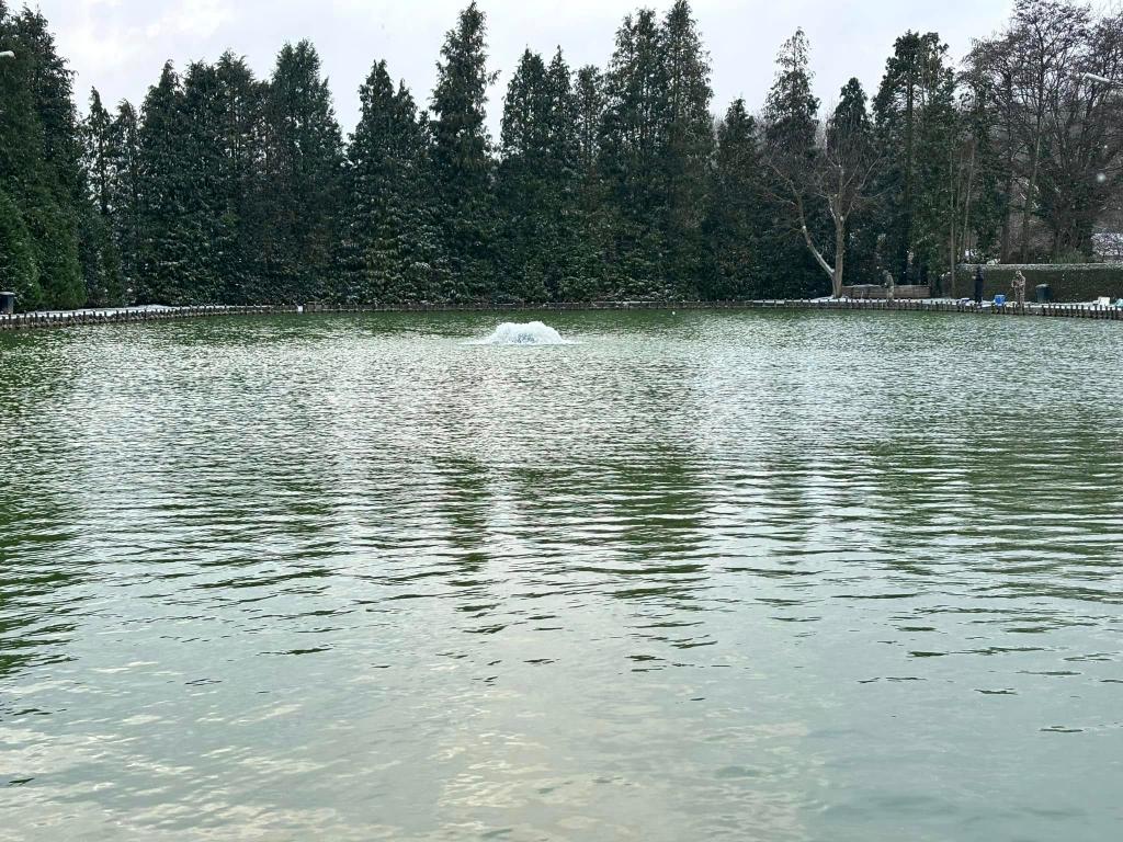 Forelvijver De Kluis