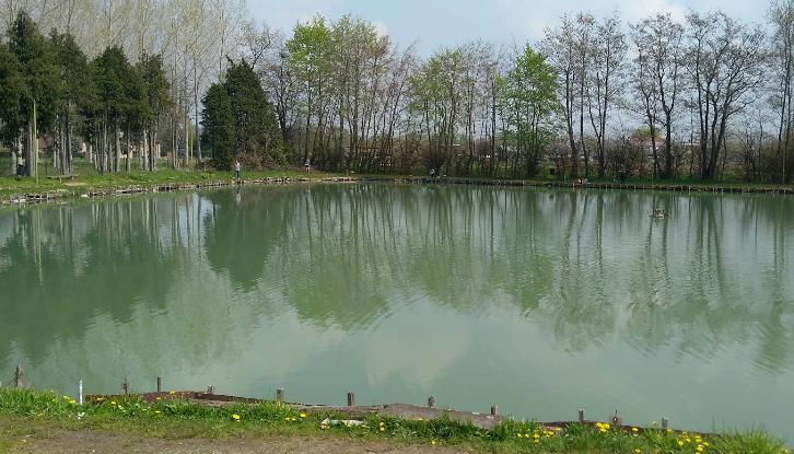 Forelvijver De Capri