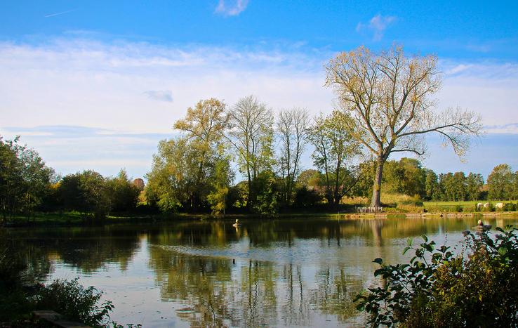 Etang du Braibant