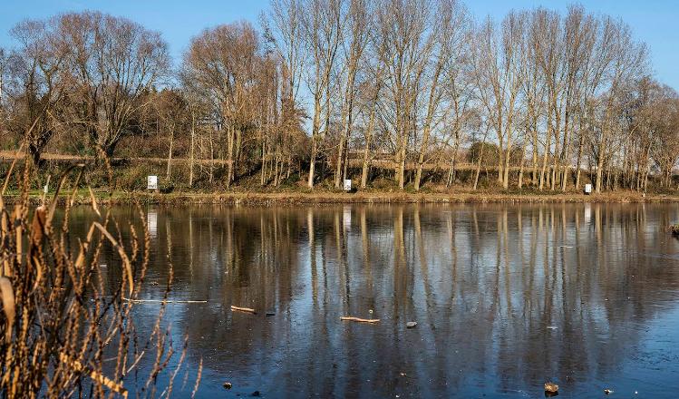 Étang de la Cafenière