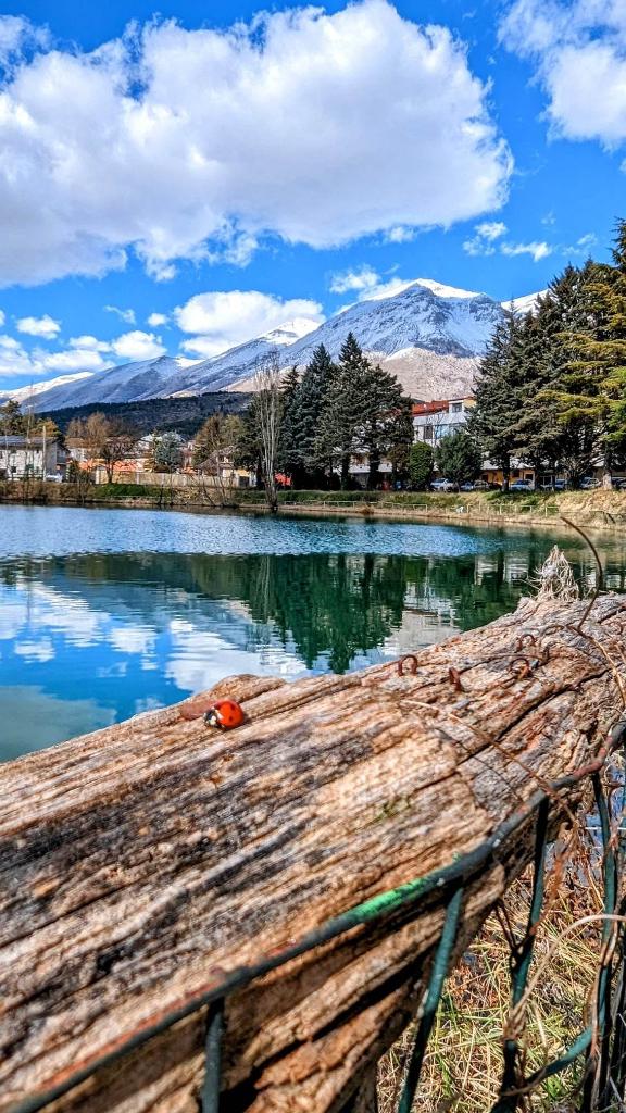 Pesca Sportiva Magliano