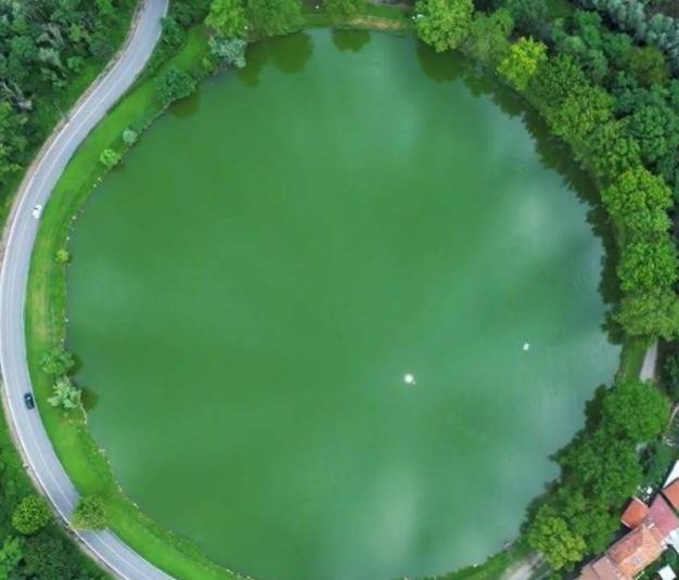 Laghettone di Limbiate