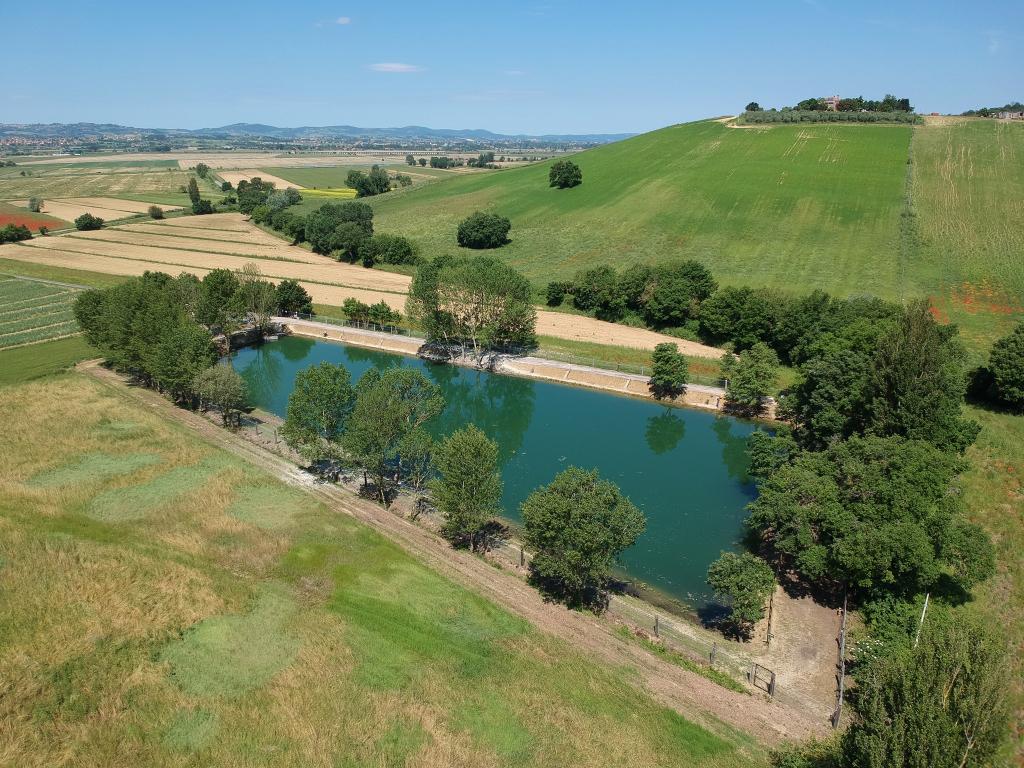 Pesca Sportiva Callone