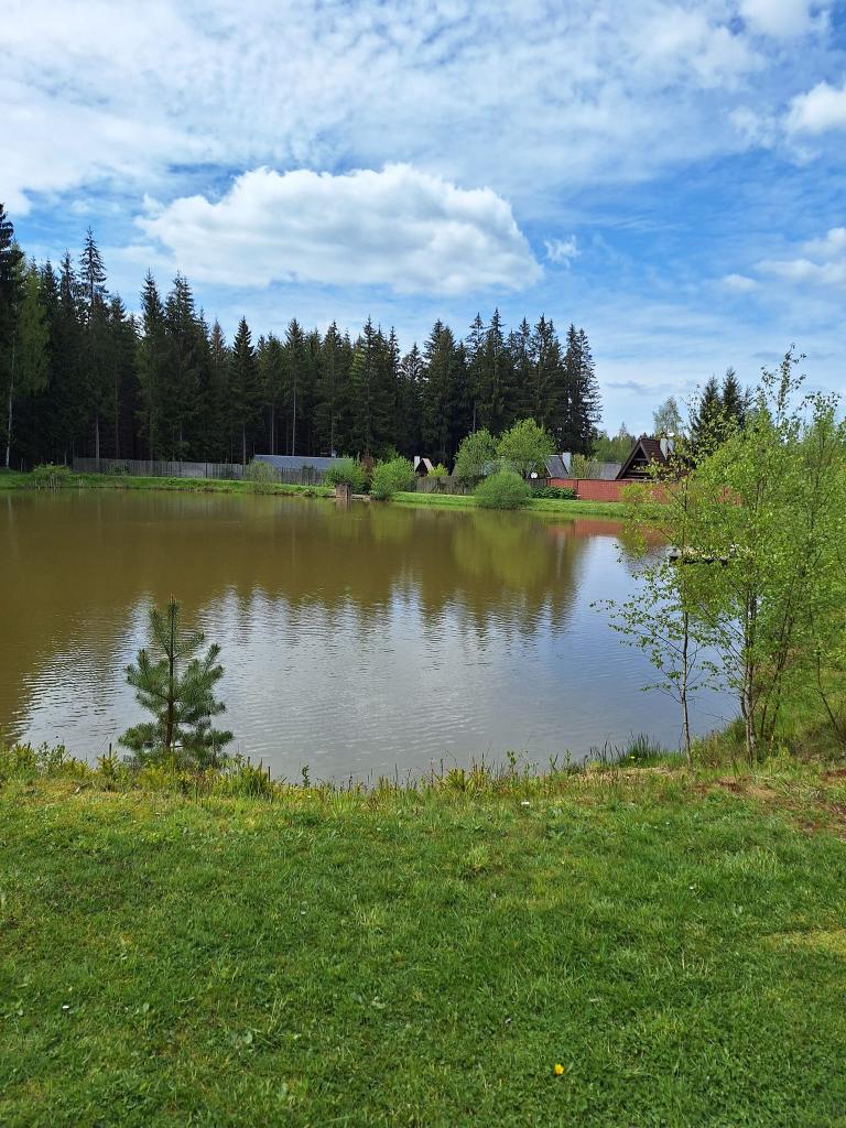 Rybníček na samotě u lesa