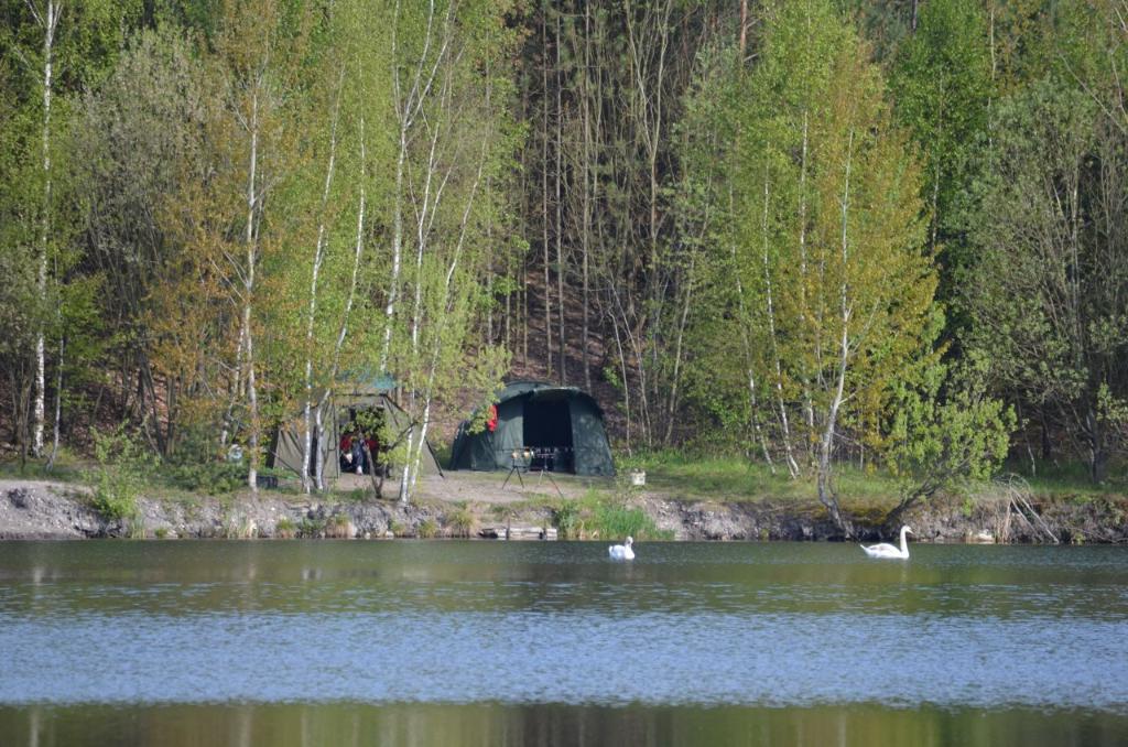 Sportovní rybolov - lom u Radnic