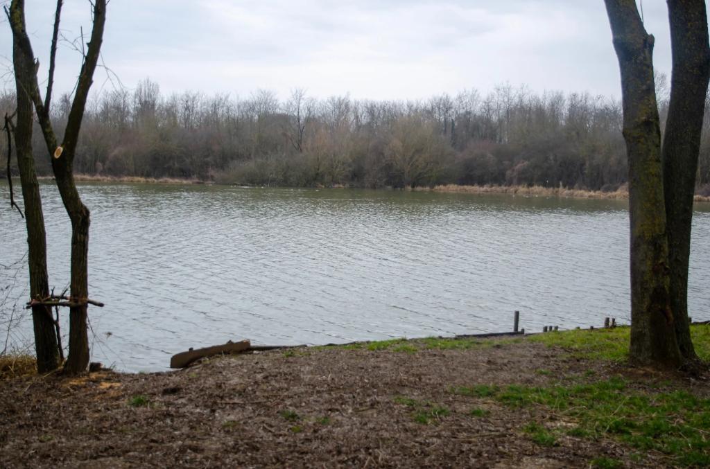 Borza Völgye Horgásztó