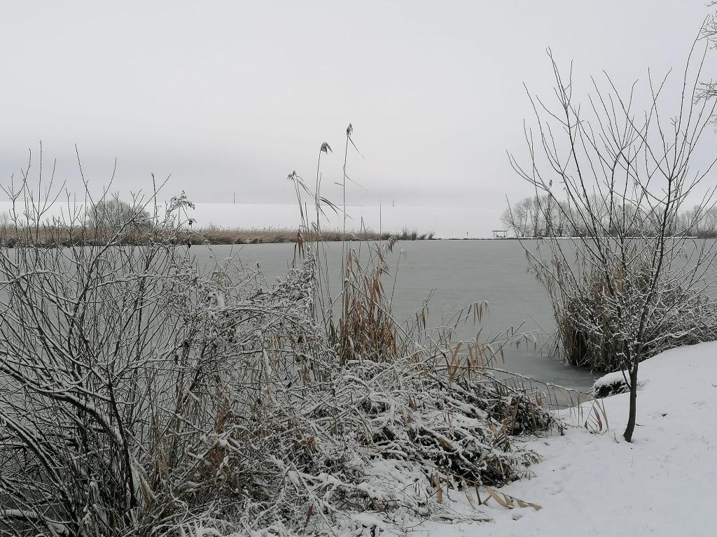 Berek Horgásztó Peterd