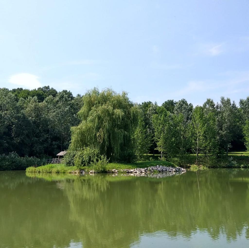 Hetvehelyi Horgásztó