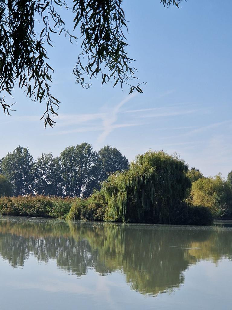 Fish Aréna Horgásztó