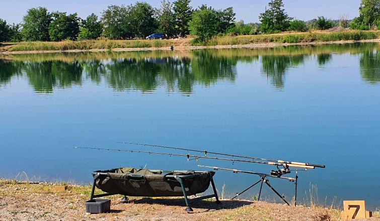 Aranypikkely Pecatanya