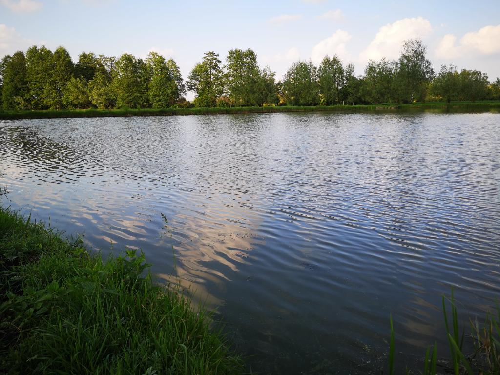 Łowisko Wędkarskie DzikiKarp