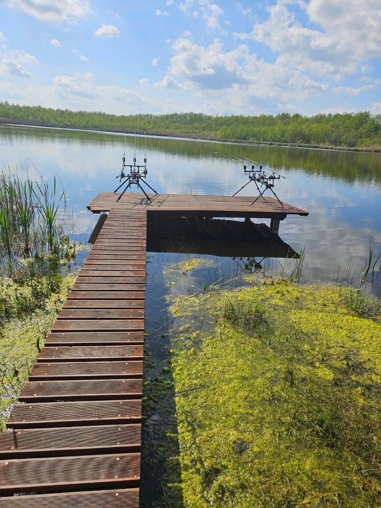 Łowisko Karpiowe Cielętowo