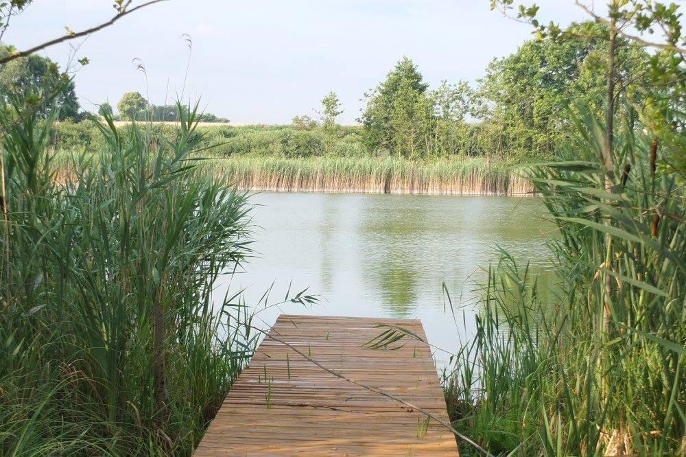 ŁOWISKO WĘDKARSKIE "RYBIE OKO"