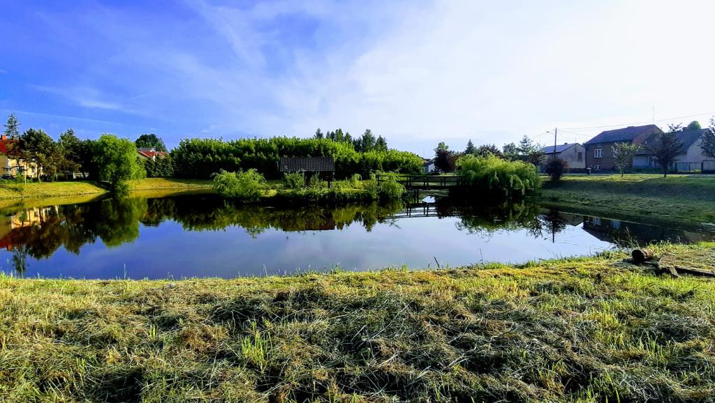 Łowisko Dworszowice Kościelne