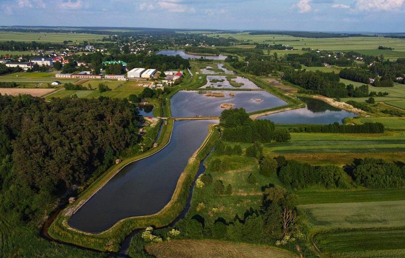 Łowisko "Bobrowisko"