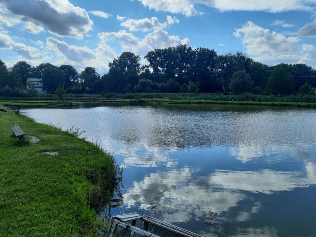 Łowisko Zielona Dolina - Bychawa