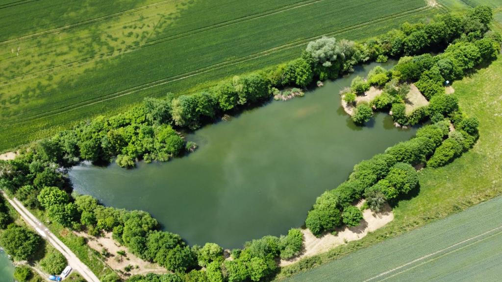 Łowisko "Sucha Carp Lake"