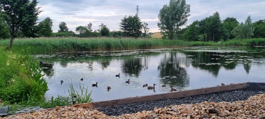 Łowisko Wędkarskie Sławki