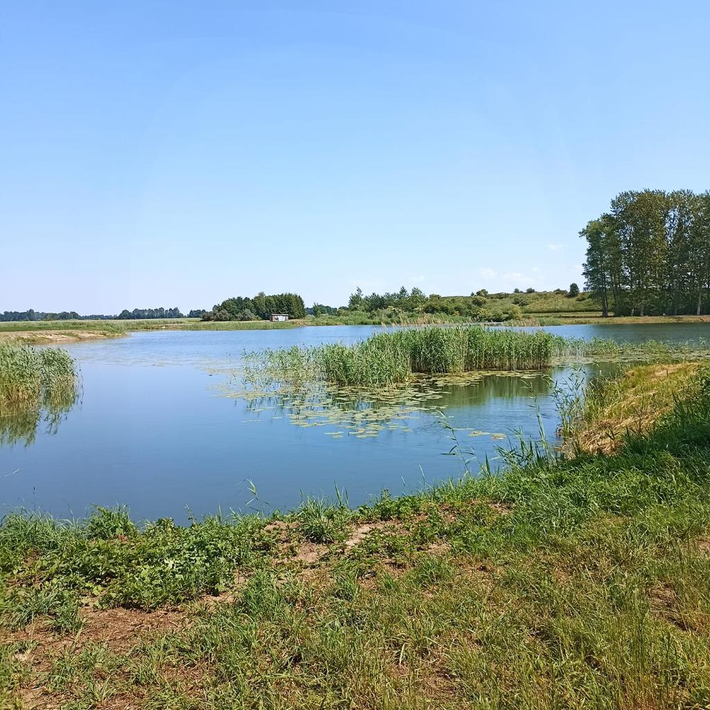 Żuławskie Jeziorko