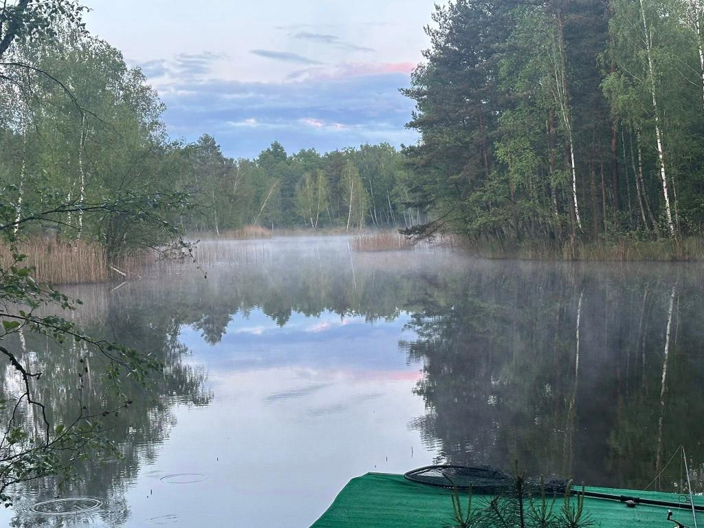 Piękna woda - Łowisko karpiowe