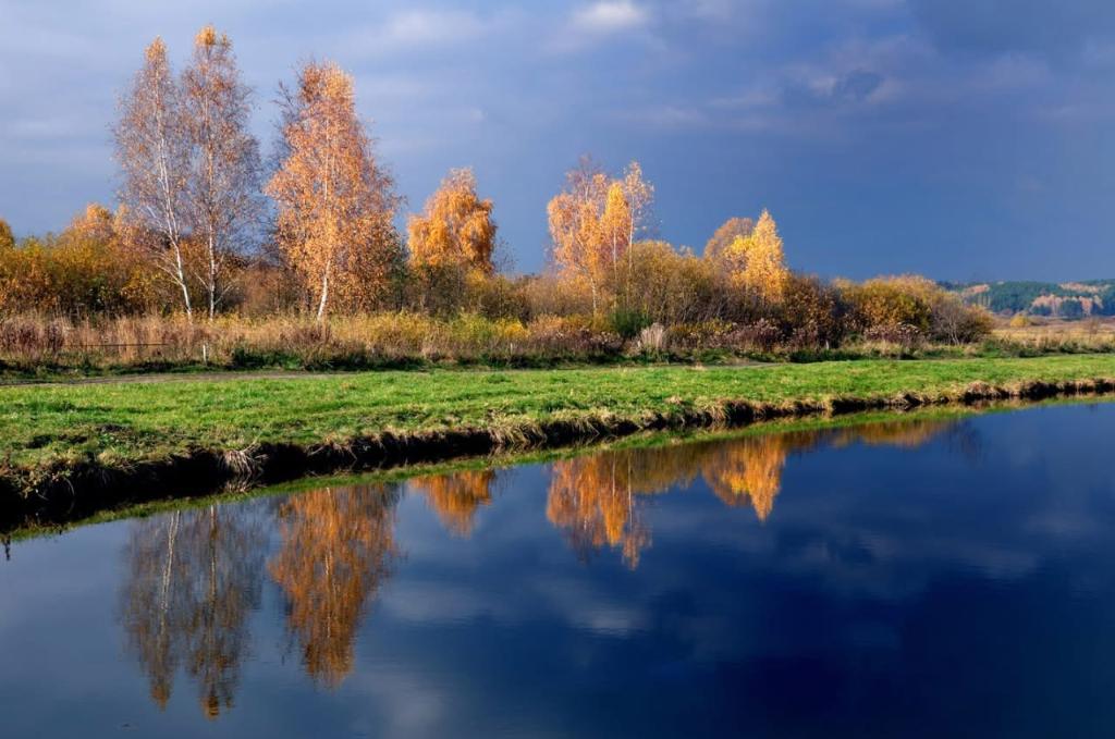 Łowisko Wędkarskie „Leszczyny” w Łochowie