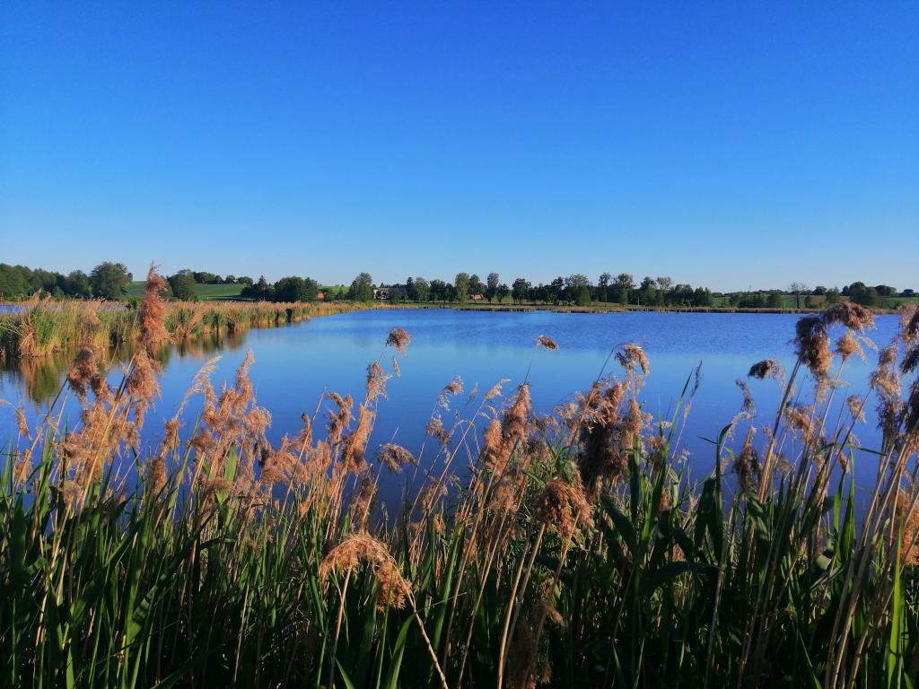 Łowisko Przybysławice