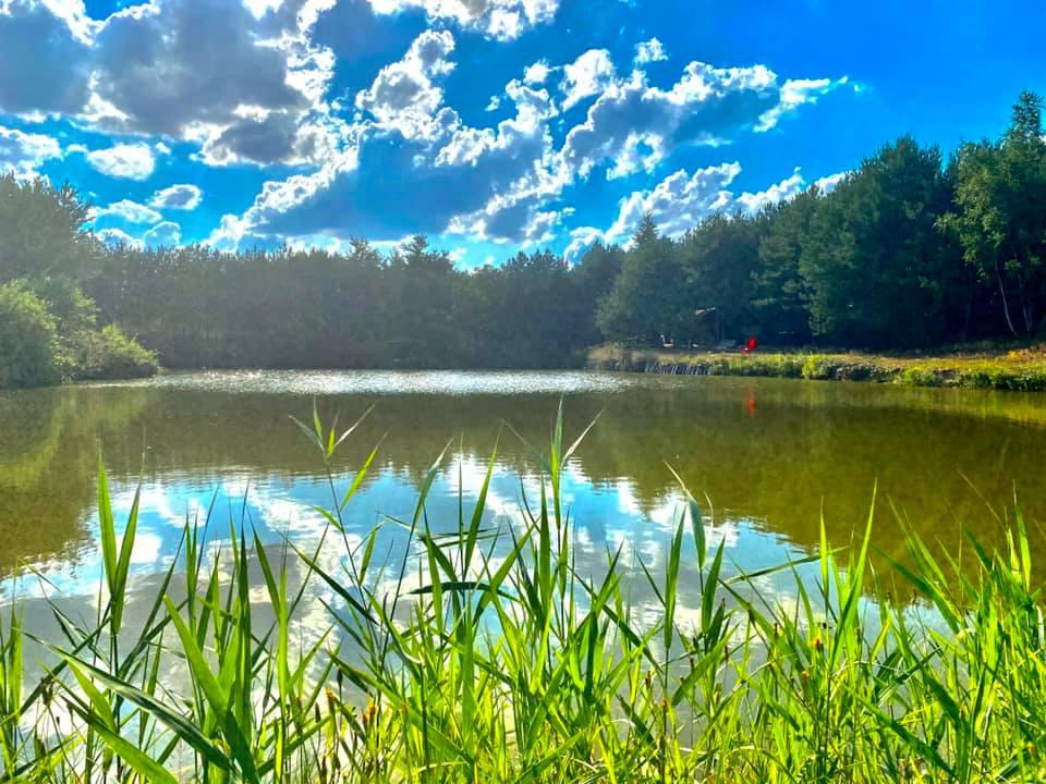 Górka Lubartowska Łowisko Specjalne