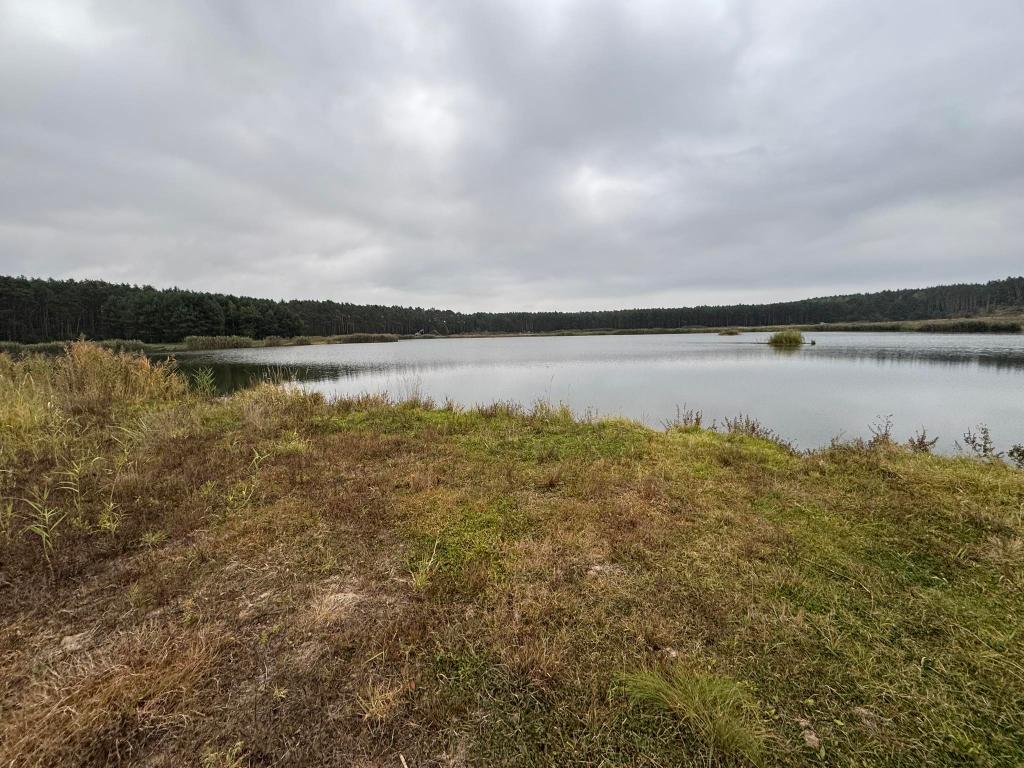 Łowisko Karpiowe Tadzik Lake