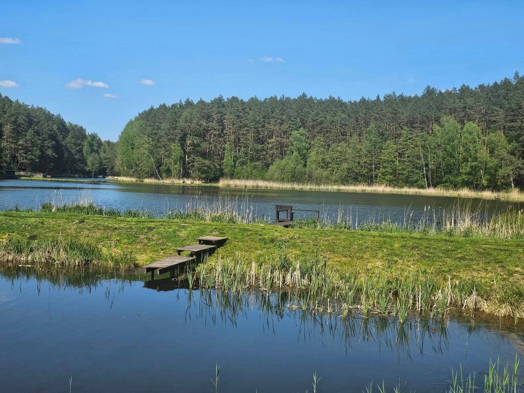 Wołowe Lasy 100 Łowisko, Agrotusytyka