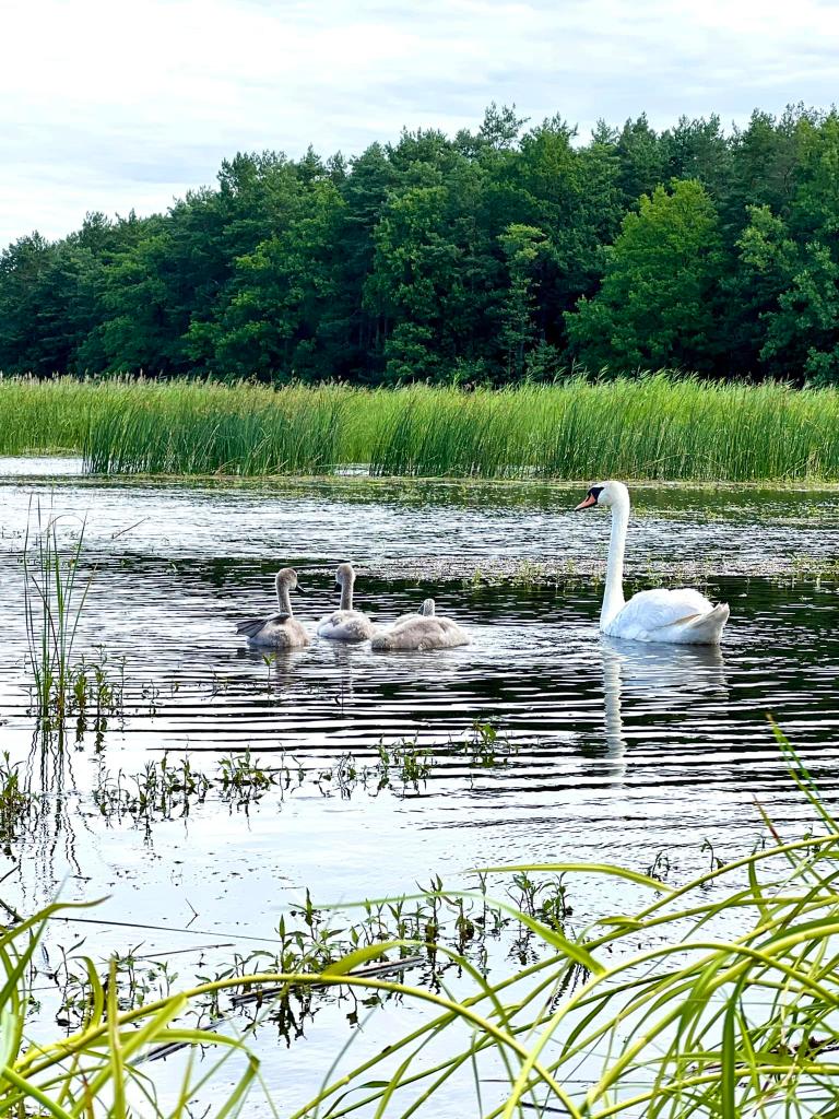 Dom Rybaka Staszka Czechury