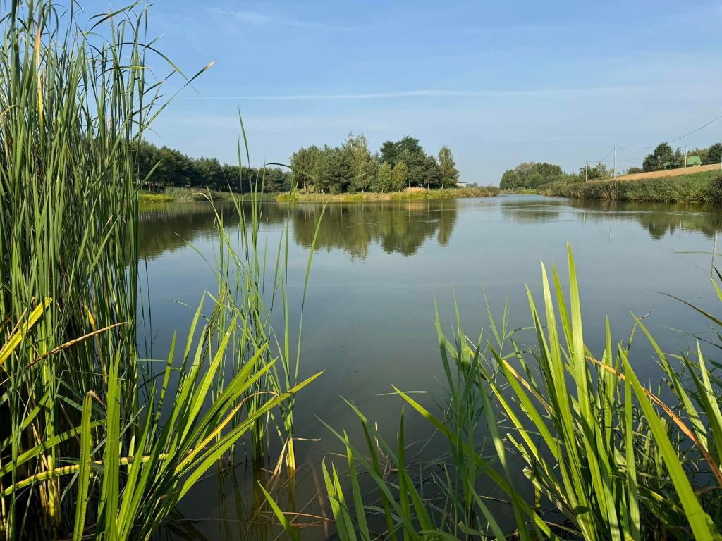 Łowisko wędkarskie u Karasia