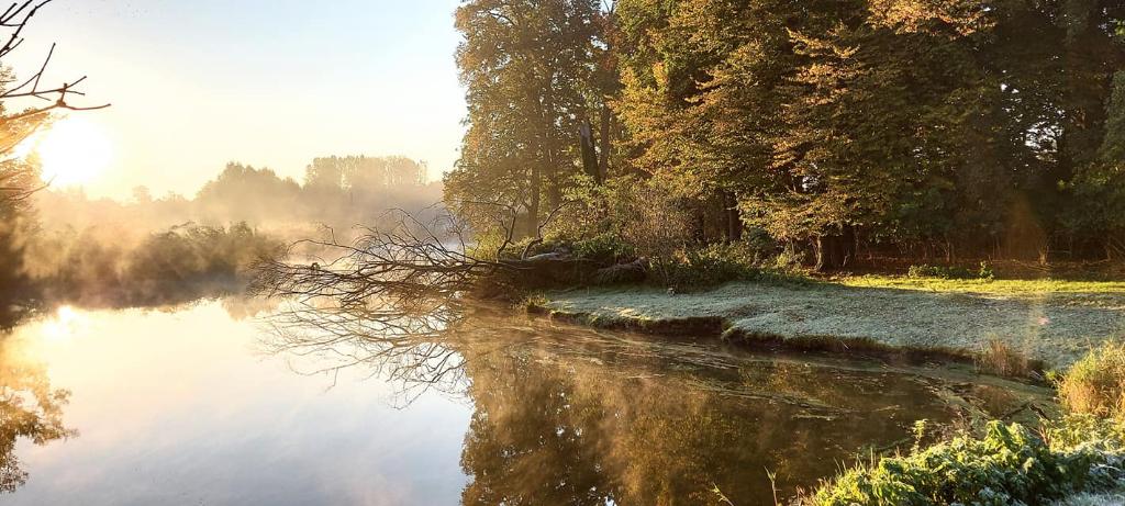 Stawy Hodowlane Zbrojewsko i Lipie