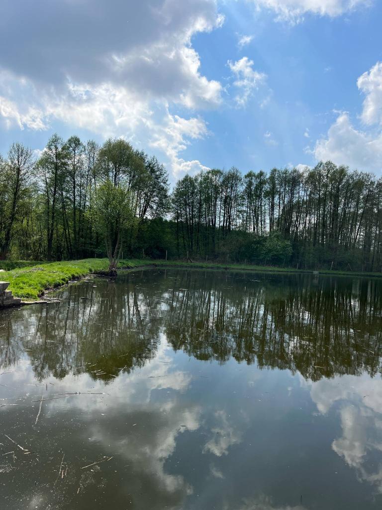 Łowisko Borownik - Obrzycko