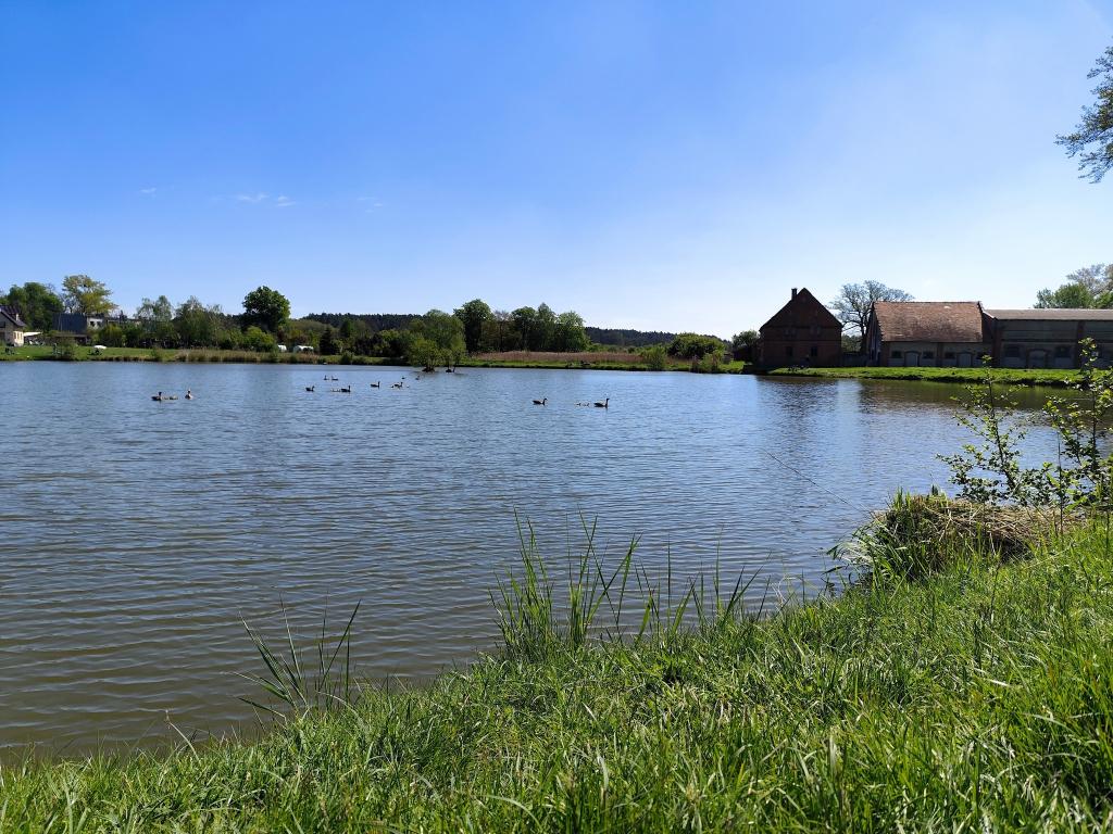 Łowisko komercyjne Agro-admat w Pisarzowicach