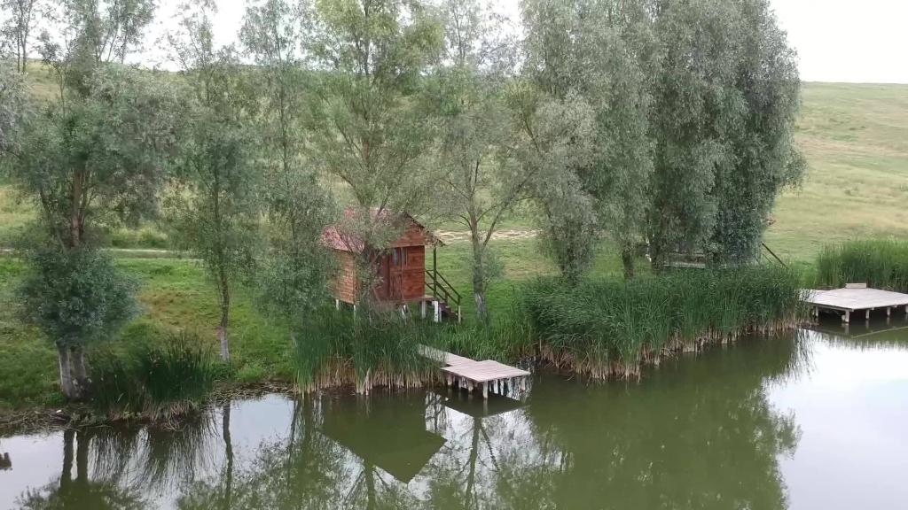 Balta Dobresti, Dolj