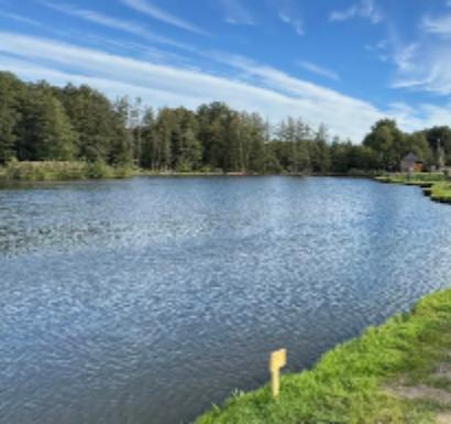 Łowisko Komercyjne - Wędkarska Kolonia