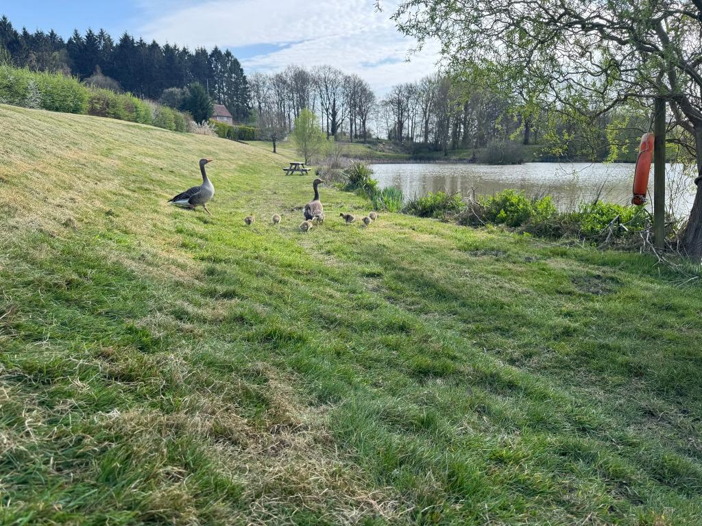 Furnace Lakes Estate