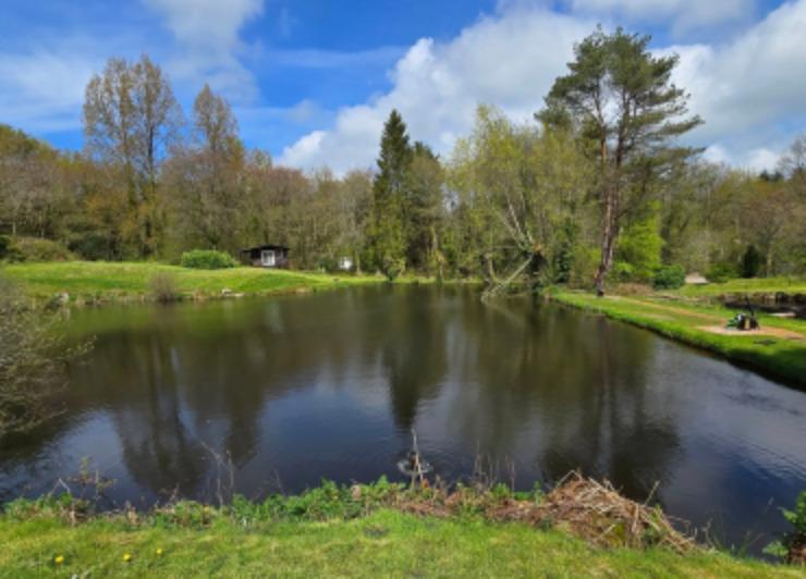 Hollies Trout Farm and Fishery