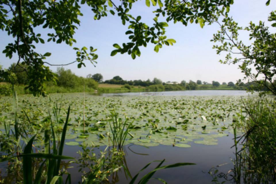 Blakemere Fishery