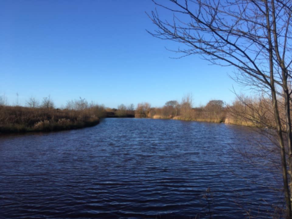 Alderwood Fishery Moss