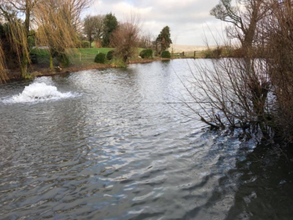 Mount Pleasant Farm Fishery