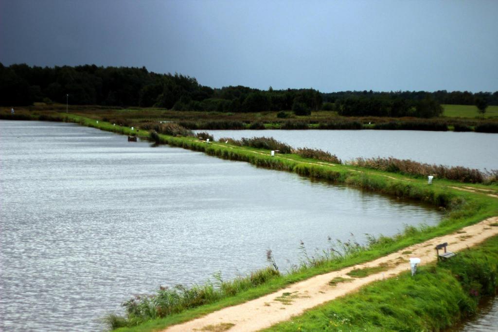 Arūno Valinsko tvenkiniai