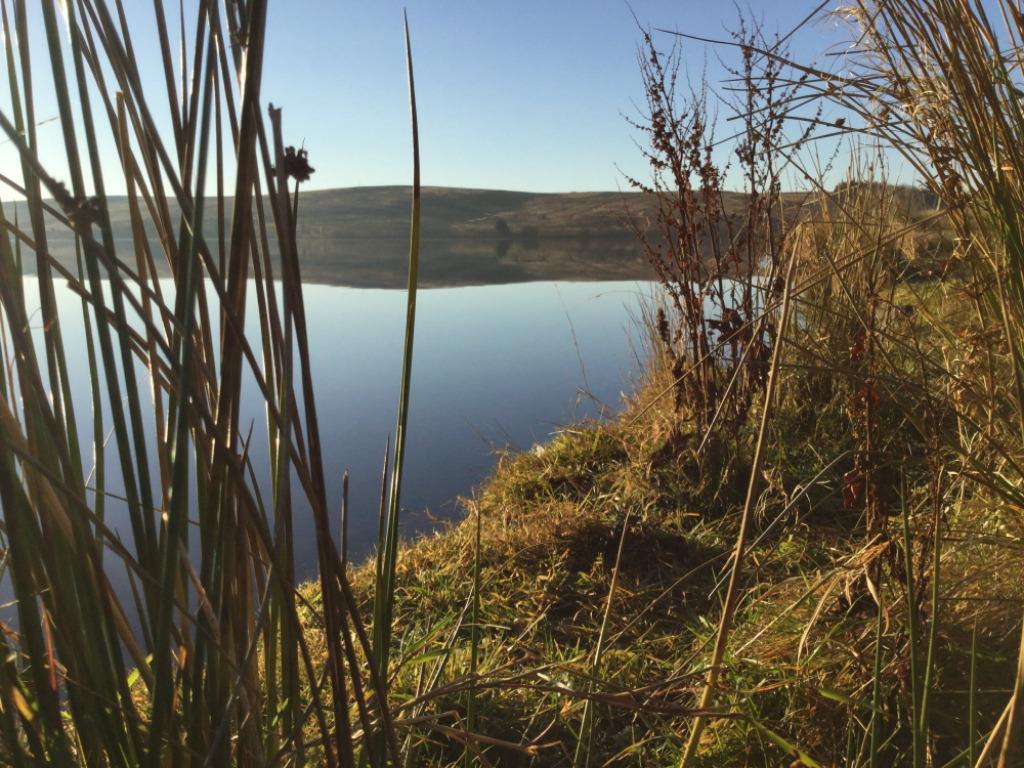 The Watch Water Fishery
