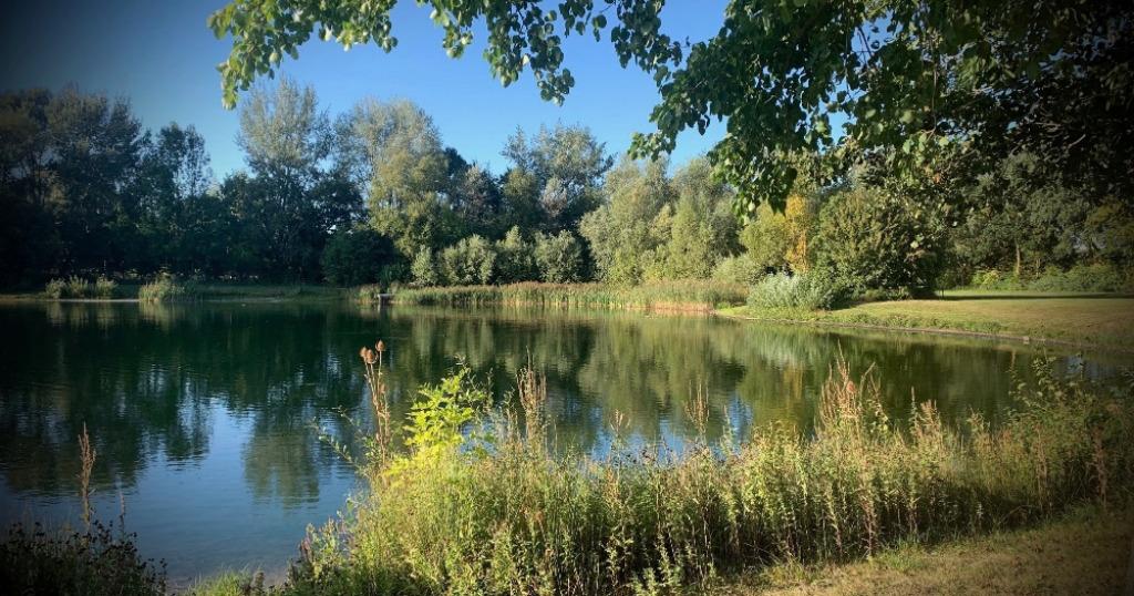 Sportfish Game Fishing Centre