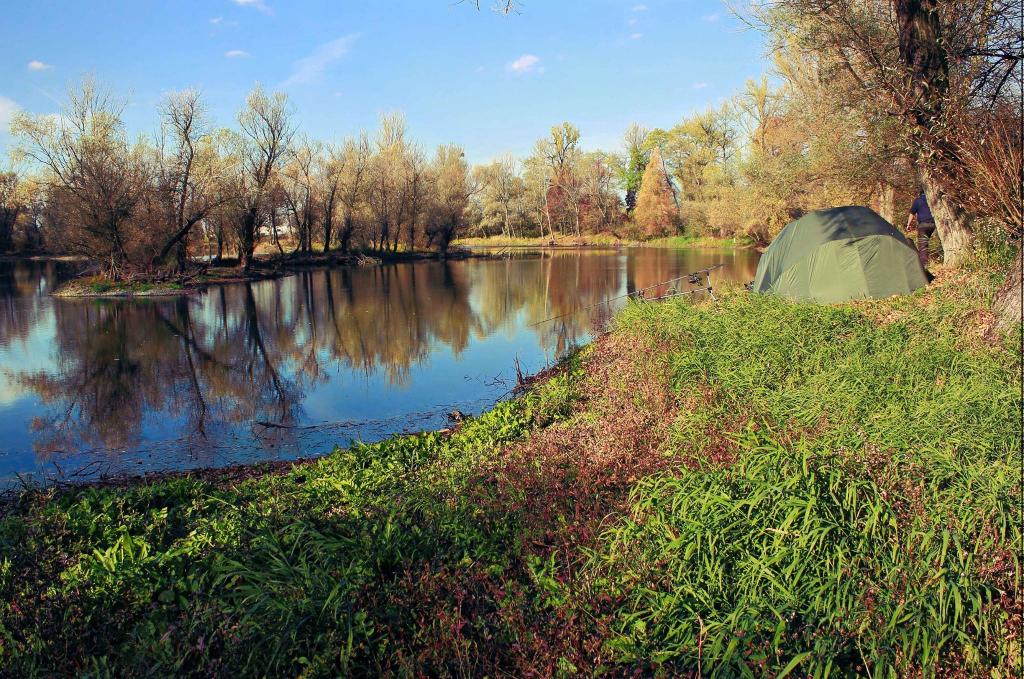 Starorzeka Karpiowe łowisko specjalne