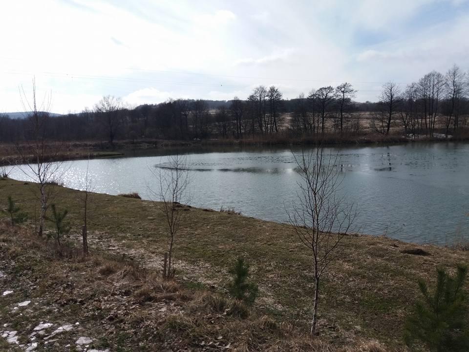 Karpiowe Big Game Kobylany