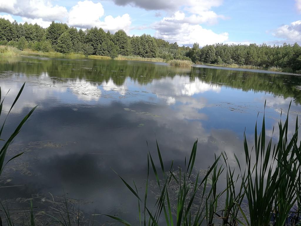 Łowisko wędkarskie Rybaki